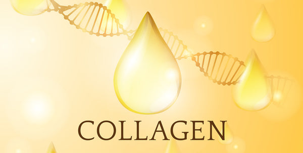 Drop of Collagen - Vu Skin System